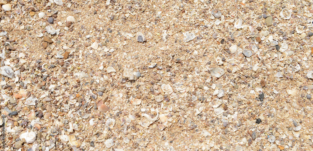 Sand texture on the beach Sand texture on the beach