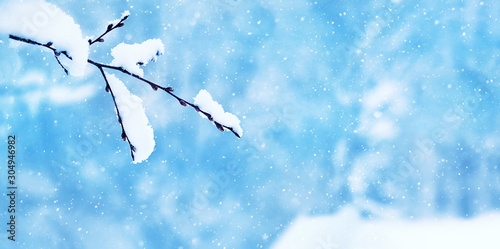 Frosty tree branch with snow on winter background. tree branch covered snow. Winter time season concept. Christmas and New Year design template. banner. copy space. soft selective focus © Ju_see