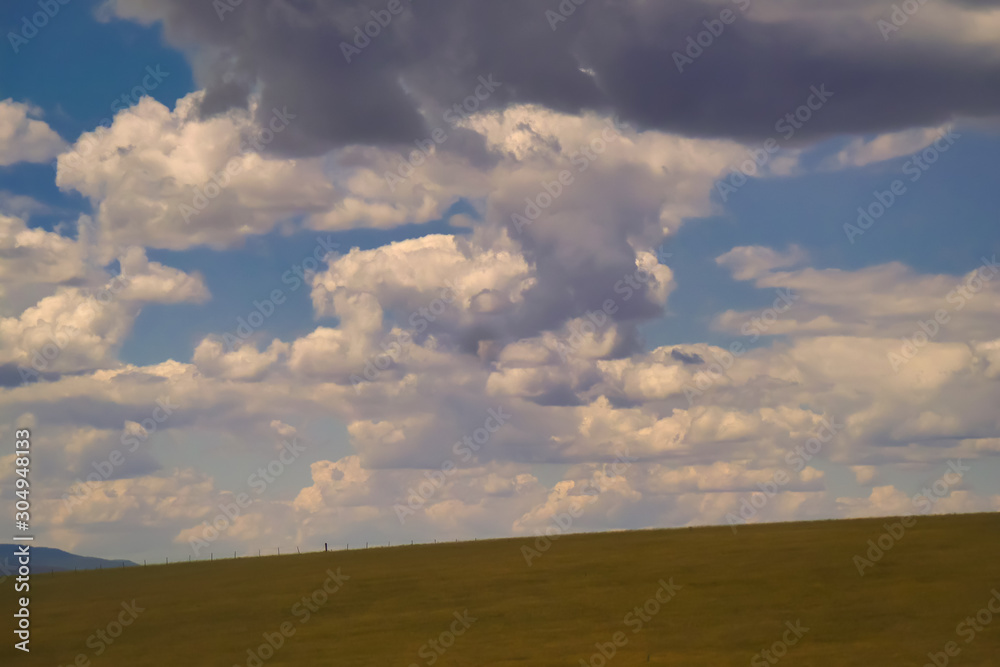 Fototapeta premium Summer in the countryside