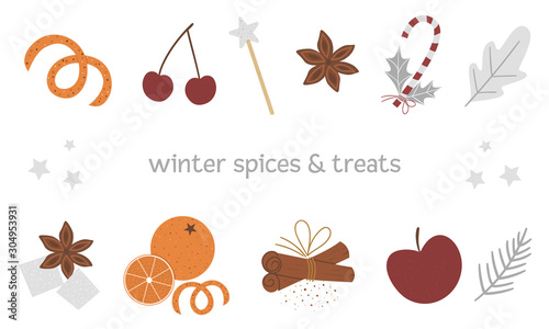 Vector set of traditional winter spices and fruit. Holiday seasonal Christmas treats isolated on white background. Cozy warming food ingredients for festive drinks.