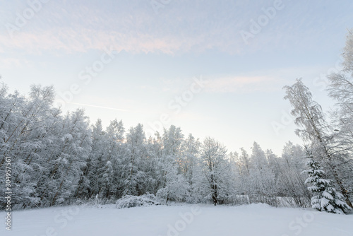 The forest has covered with heavy snow and clear blue sky in winter season at Lapland, Finland. © Joeahead