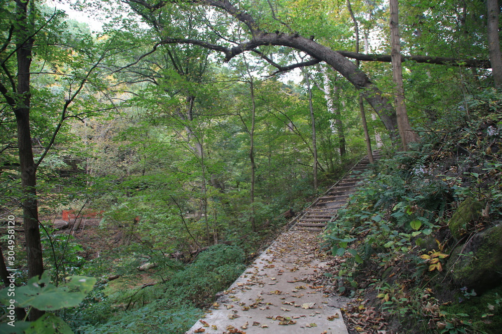 Fototapeta premium Hike in the Woods with Canyon