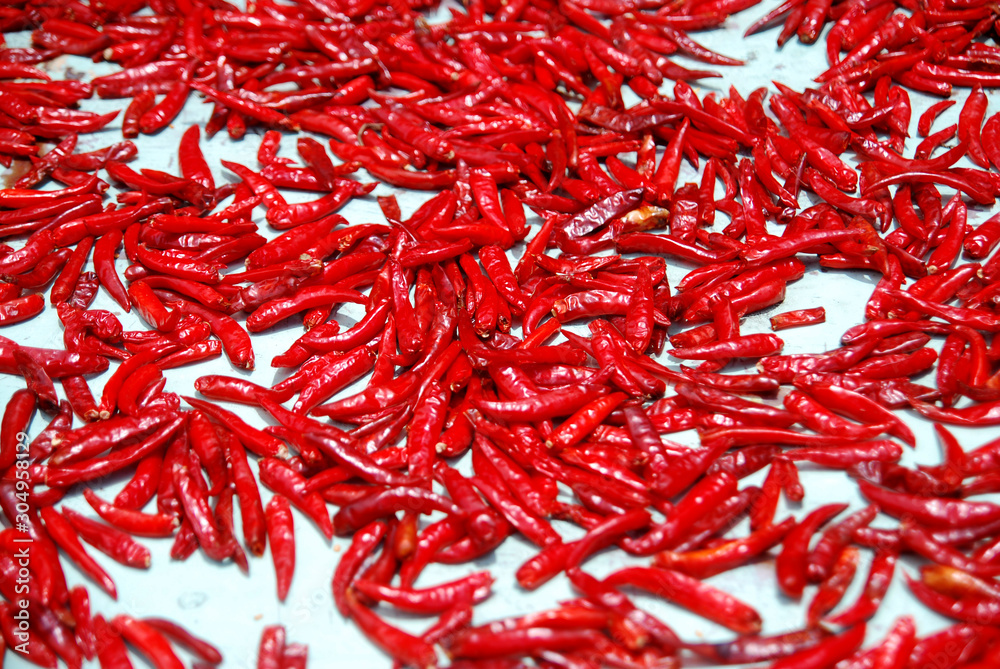 Red Chilli is drying with sunlight - food ingredient Red Chilli is drying with sunlight - food ingredient