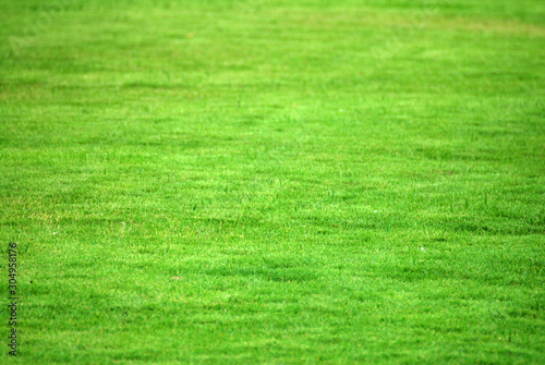 Abstract of Nature Green grass field texture background 