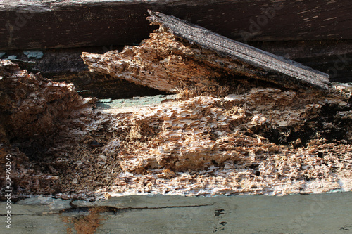 Wooden pole that was destroyed by termites