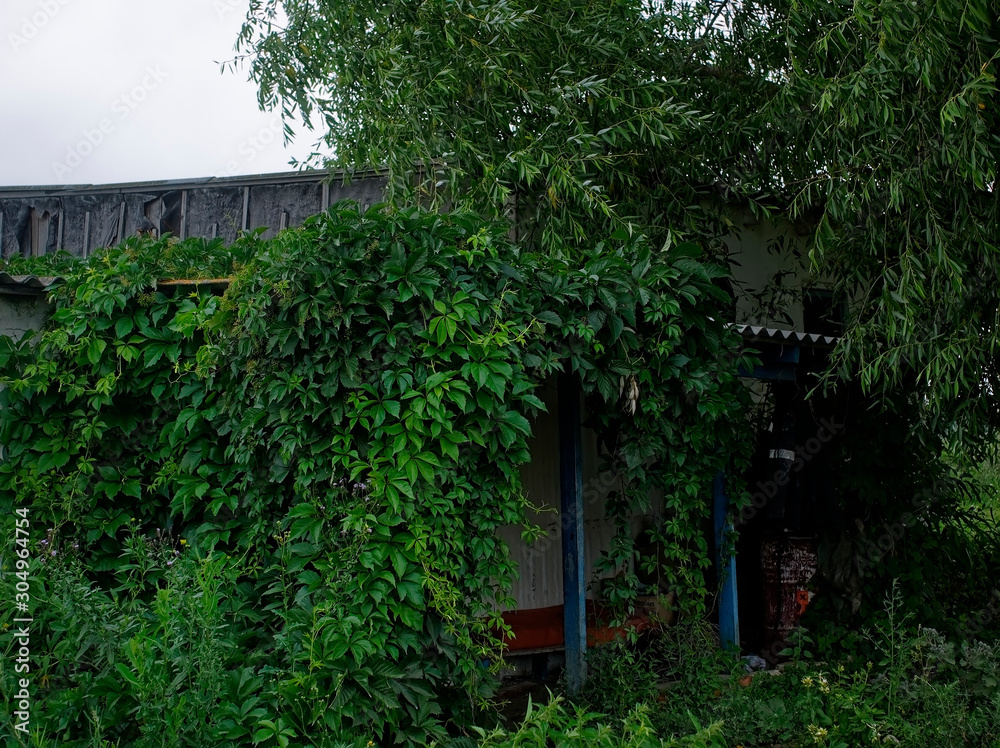 entrance to the little old farm, Russia. entrance to the little old farm, Russia.