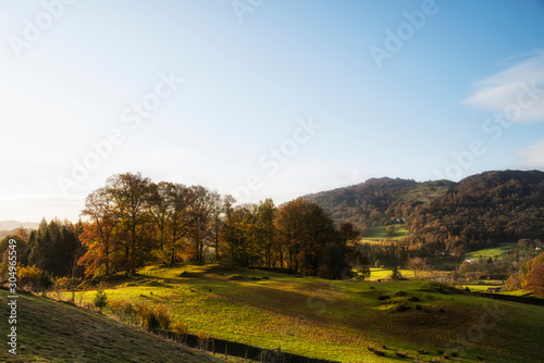 Fototapeta Naklejka Na Ścianę i Meble -  Beautiful vibrant Autumn Fall landscape of woodland in early morning light over English countryside