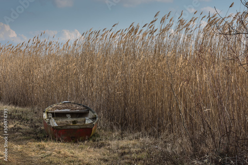 altes boot im schilf