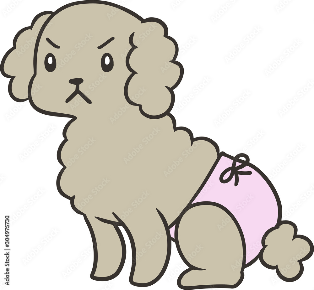 Fototapeta premium パンツをはいたトイプードルのイラスト_怒り顔2
