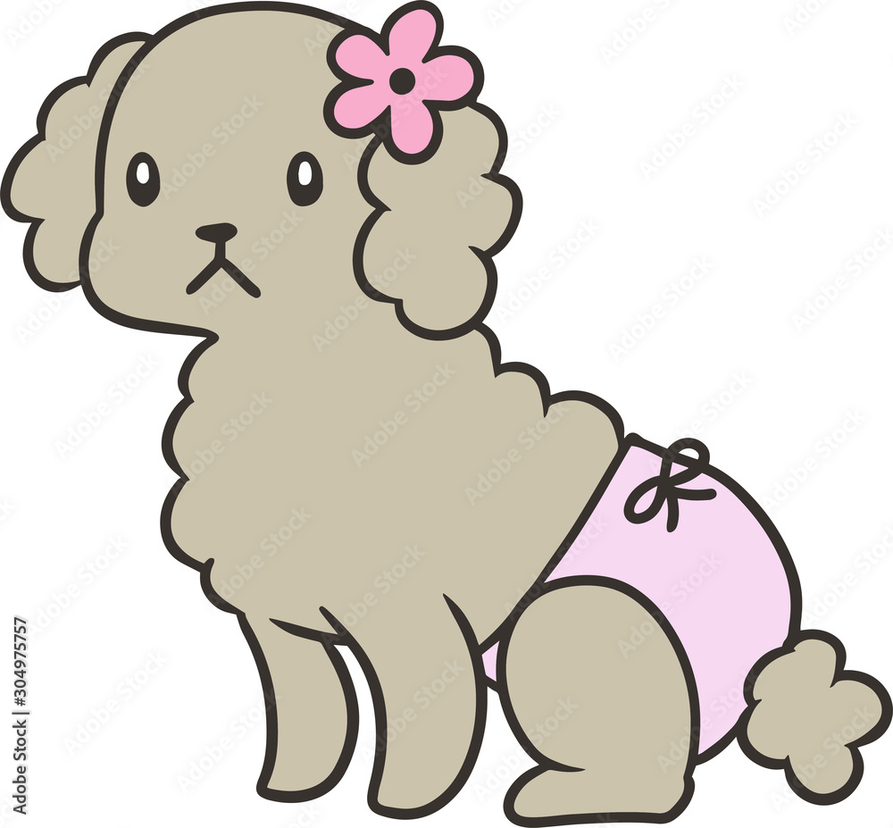 パンツをはいたトイプードルのイラスト Stock Vector Adobe Stock