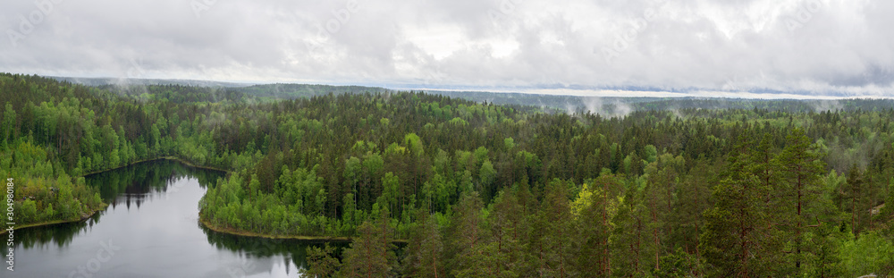 Forest lake shore landscape . Summer forest lake shore panorama. Forest lake shore view Forest lake shore landscape . Summer forest lake shore panorama. Forest lake shore view