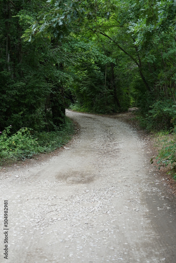 Obraz premium Country road in summer