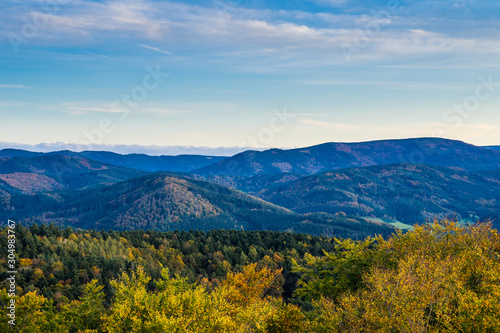 Germany, Aerial view above endless wide beautiful black forest holiday nature landscape above tree tops at sunset in autumn season