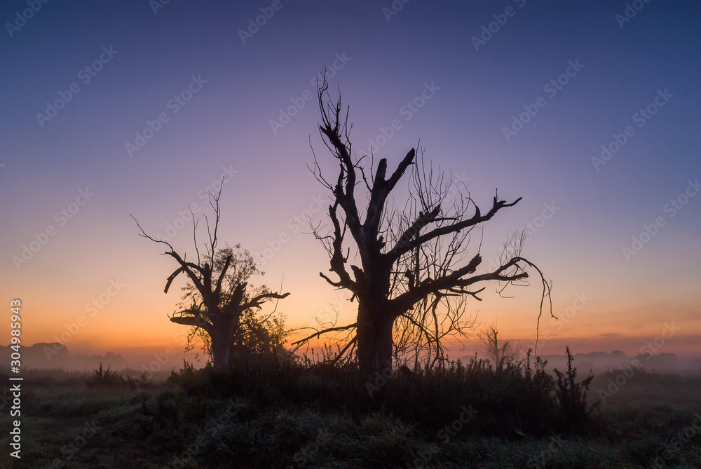 Poranne mgły nad Narwią, Dolina Górnej Narwi, Natura 2000, Podlasie, Polska Poranne mgły nad Narwią, Dolina Górnej Narwi, Natura 2000, Podlasie, Polska