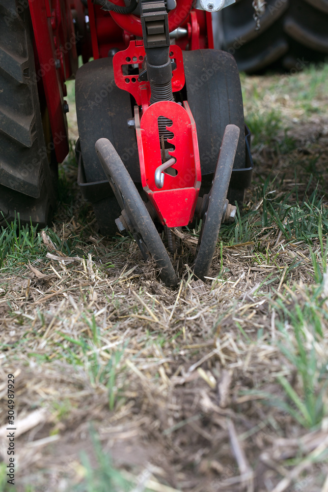Obraz premium seed application