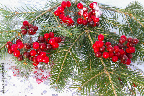 Christmas fir decoration with red berries isolated on white