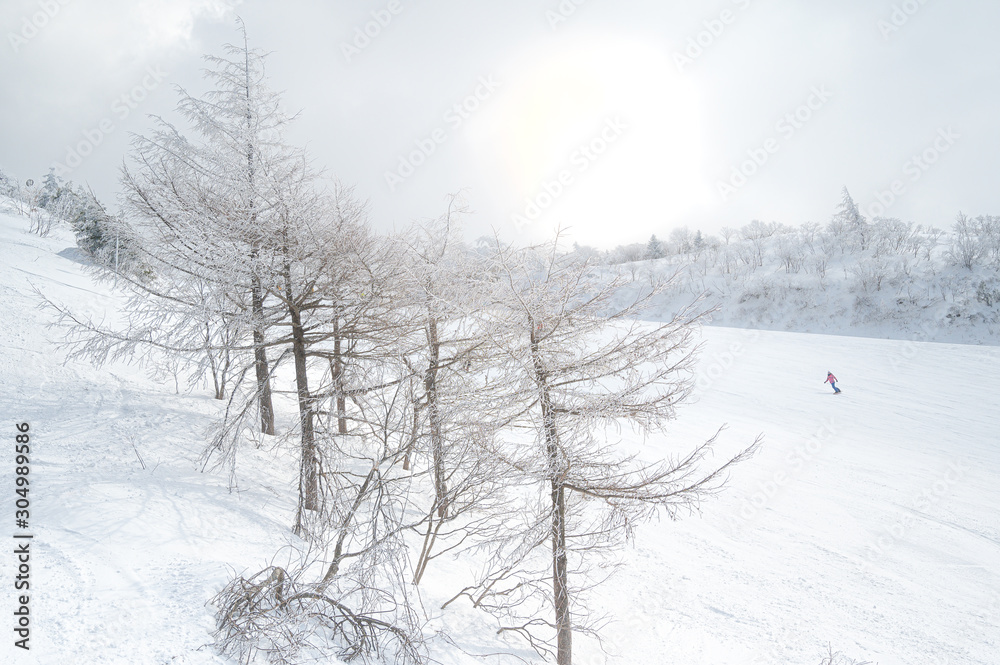 Obraz premium snowboading in winter season