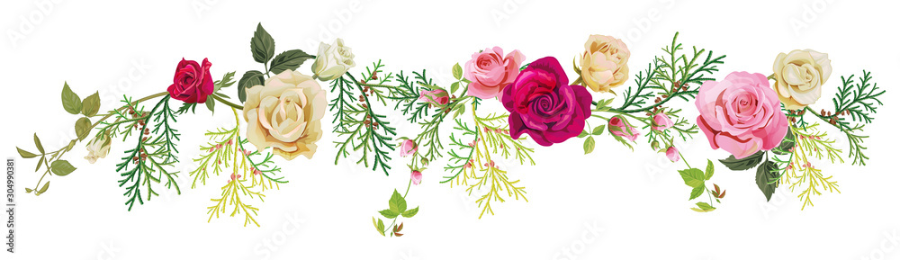 Panoramic view: red, white, pink roses, thuja (arborvitae). Horizontal border for Christmas: flowers, buds, leaves, green twigs, cones on white background, digital draw, watercolor style, vector