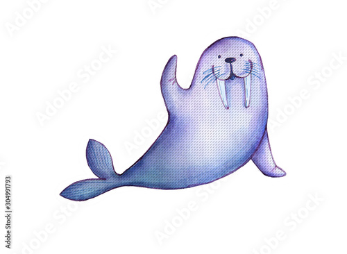 Cute watercolor walrus , isolated illustration good for baby clothes print, children greeting card