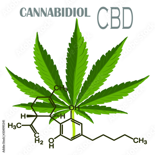 The formula of hemp CBD. Structural model of the molecules of cannabidiol and tetrahydrocannabinol. Medicinal cannabis. Medical marijuana, cannabinoids and health. Vector