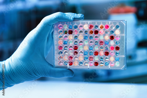 researcher hand holding microplate for analytical research / Scientist holding a 96 well plate with samples for analysis
