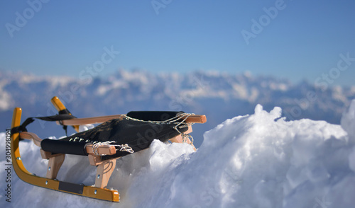 Fotografie a sled on the snow
