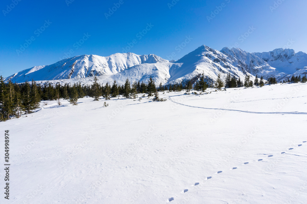 Big snow-capped peaks of the Tatra Mountains on a sunny day.