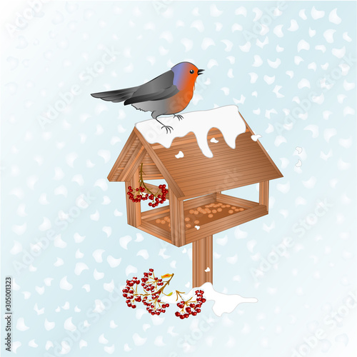 Winter landscape  with snow and robin bird with feeder christmas theme natural background vintage vector illustration editable hand draw place for text