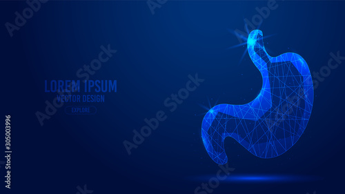 Stomach human organ geometric lines, low polygon triangles style wireframe vector banner template. Isolated medicine science technology concept on a blue background.
