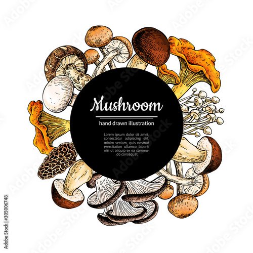 Mushroom hand drawn vector frame. Isolated Sketch organic food drawing template.