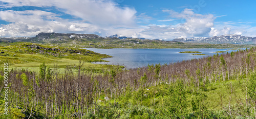 Panoramic view at Vassijaure lake in Swedish Norrbotten. Polar birch tundra is at foreground, mountain landscape with Rohccevarri summit is are at background.
