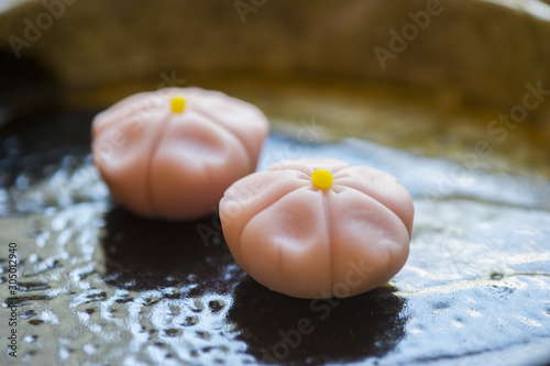 Konstfotografi 春の和菓子