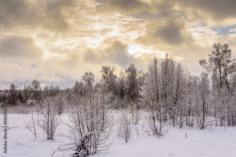 Winter landscape of Central Russia Winter landscape of Central Russia