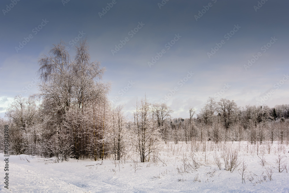 Winter landscape of Central Russia