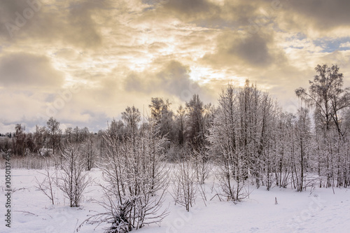 Winter landscape of Central Russia