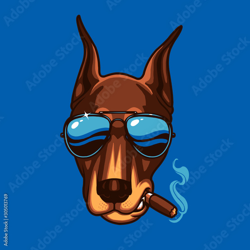 COOL DOG 1
