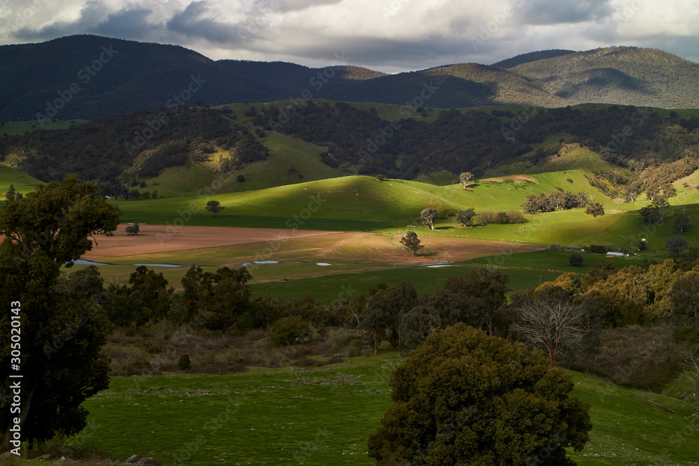 Greener pastures in Wee Jasper, New South Wales border, Australia