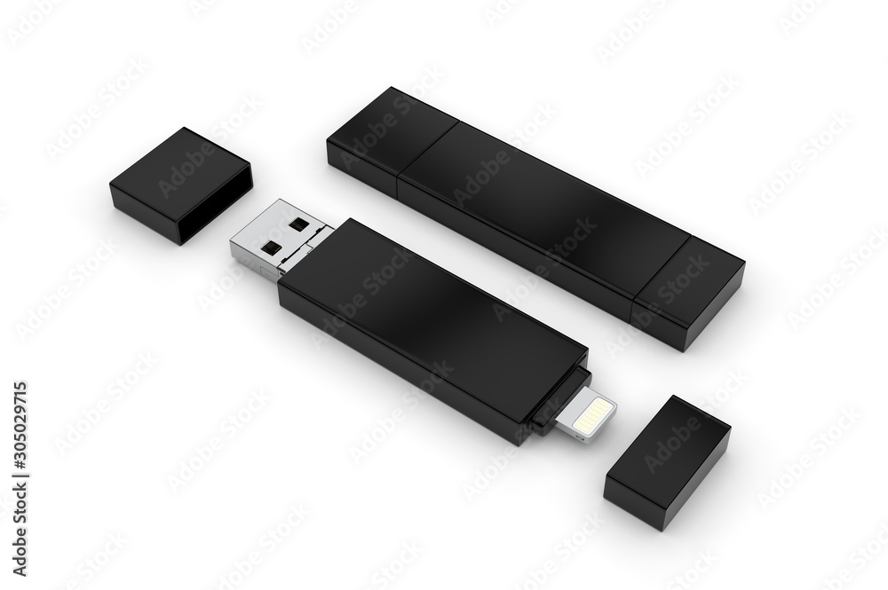 Blank Memory Stick and Flash Drive For Promotional Branding. 3d render illustration. Blank Memory Stick and Flash Drive For Promotional Branding. 3d render illustration.