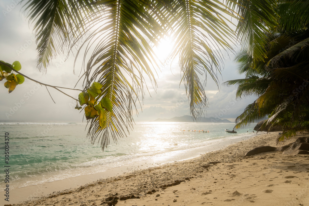 peaceful holiday paradise concept with a beautiful beach on the seychelles with palm tree leaves during sunset