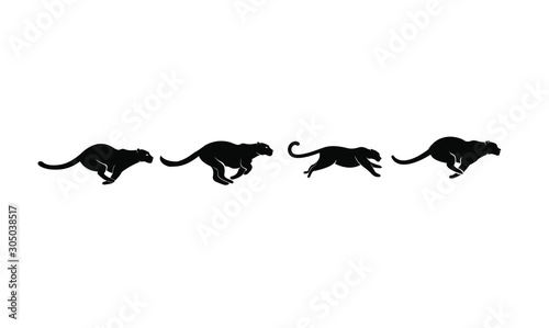 set of leopard logo icon design vector illustration