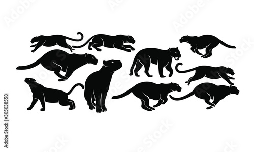 set of leopard logo icon design vector illustration