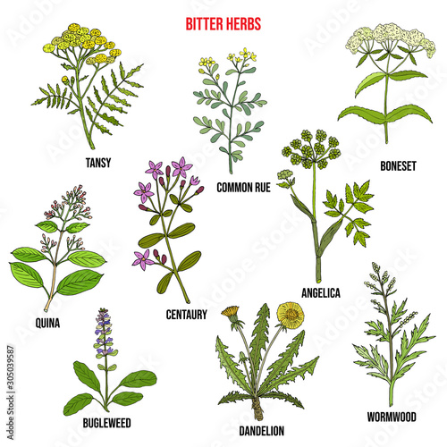 Bitter herbs collection photo