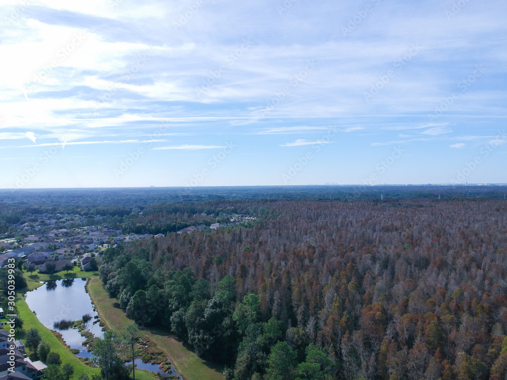 Aerial view of red leaf and winter tree in Florida