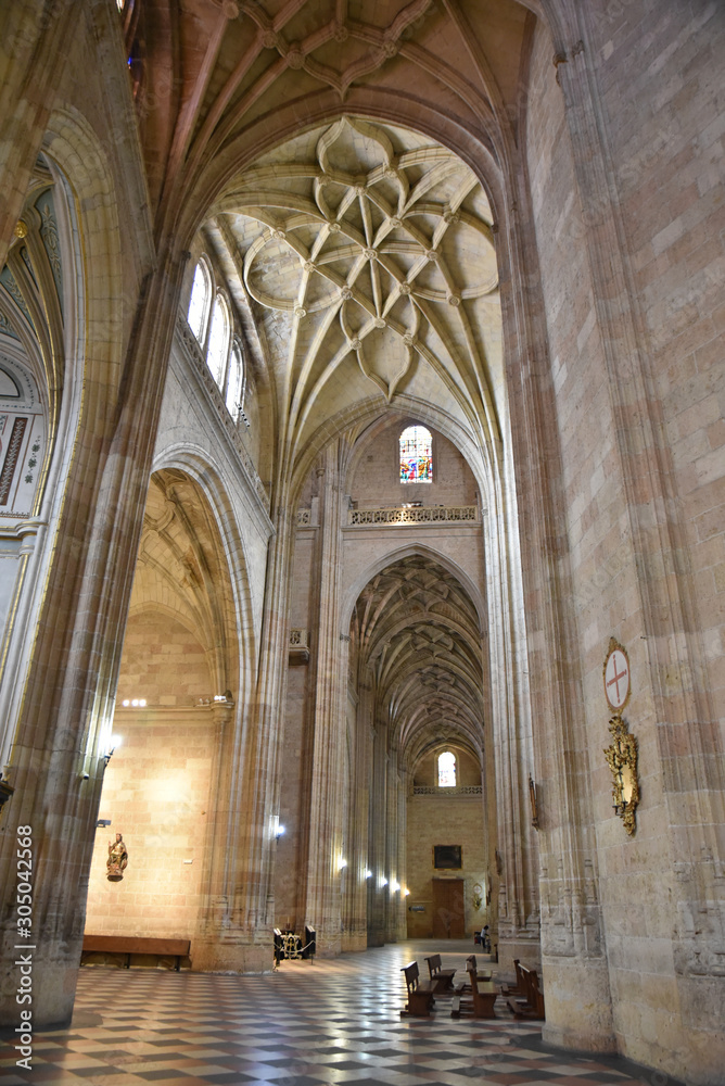 Nef gothique de la cathédrale de Ségovie, Espagne