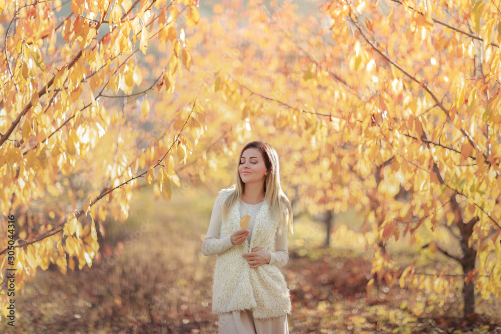 A woman in a white warm sweater on the background of autumn trees with yellow leaves. A woman in a white warm sweater on the background of autumn trees with yellow leaves.