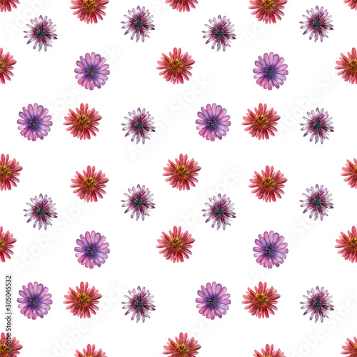Flowers plants watercolor seamless pattern on white background for design of paper or textile. © Iryna Polieshko