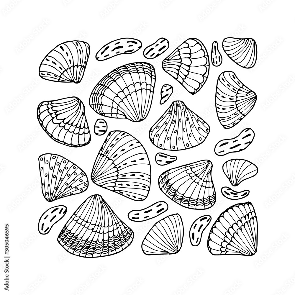 Shells poster. Hand drawn coloring page. Stock vector illustration.