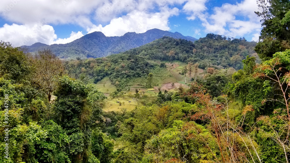 Boquete, Panama - Lost Waterfalls hiking trail, Waterfall in a cloud forest Boquete, Panama - Lost Waterfalls hiking trail, Waterfall in a cloud forest