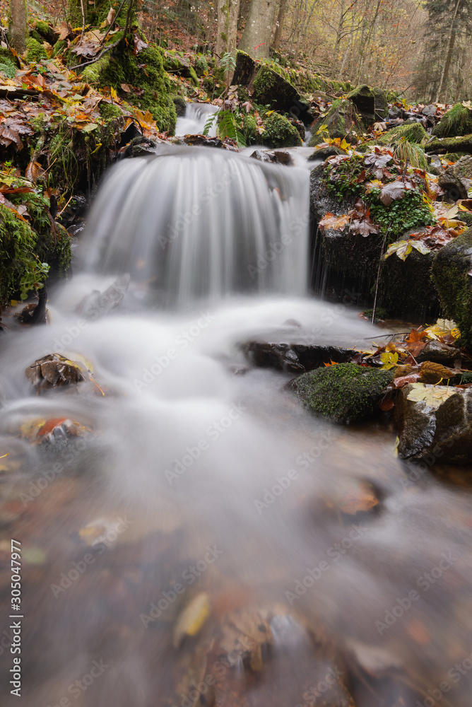Fototapeta premium petite cascade 