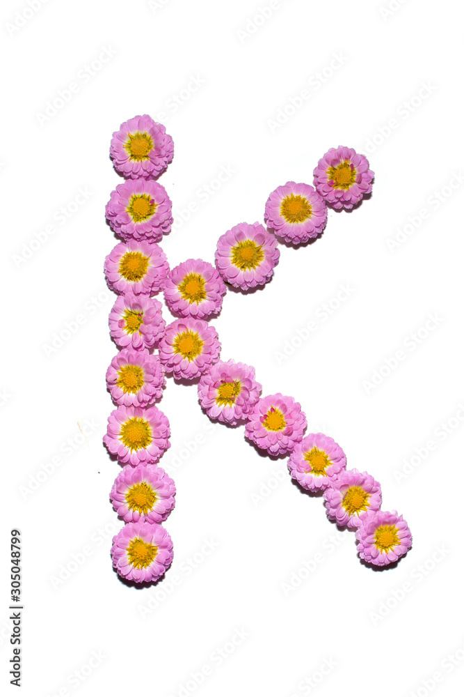 Chrysanthemum Alphabet Chrysanthemum Alphabet
